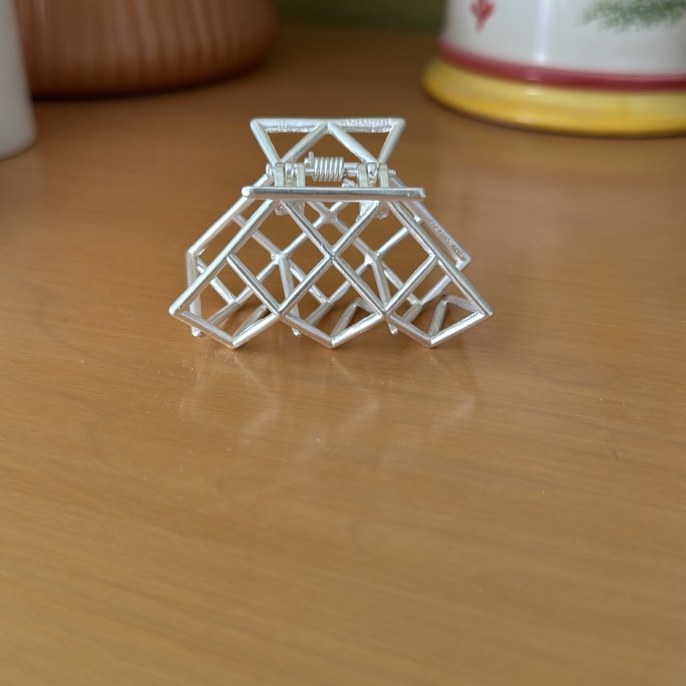 Anemone polygon hair clip